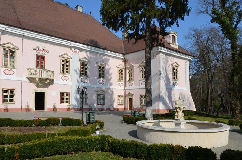 Vila Europa Cluj-Napoca Exterior photo